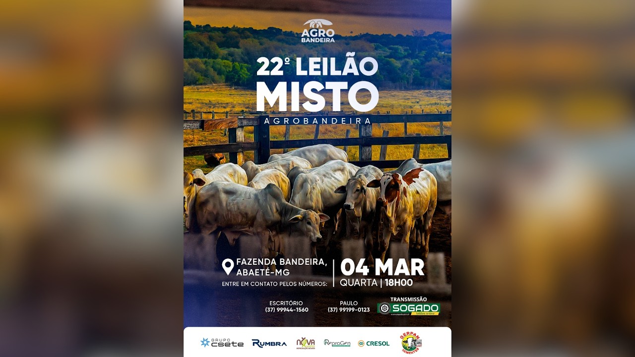 22º LEILÃO MISTO - AGRO BANDEIRA EM ABAETÉ/MG - 04/03/2026