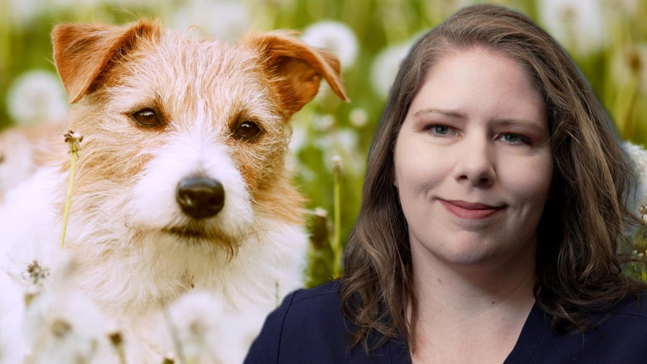 Peaceful Pup Playlist | 60min of Music & Mantras for Dogs