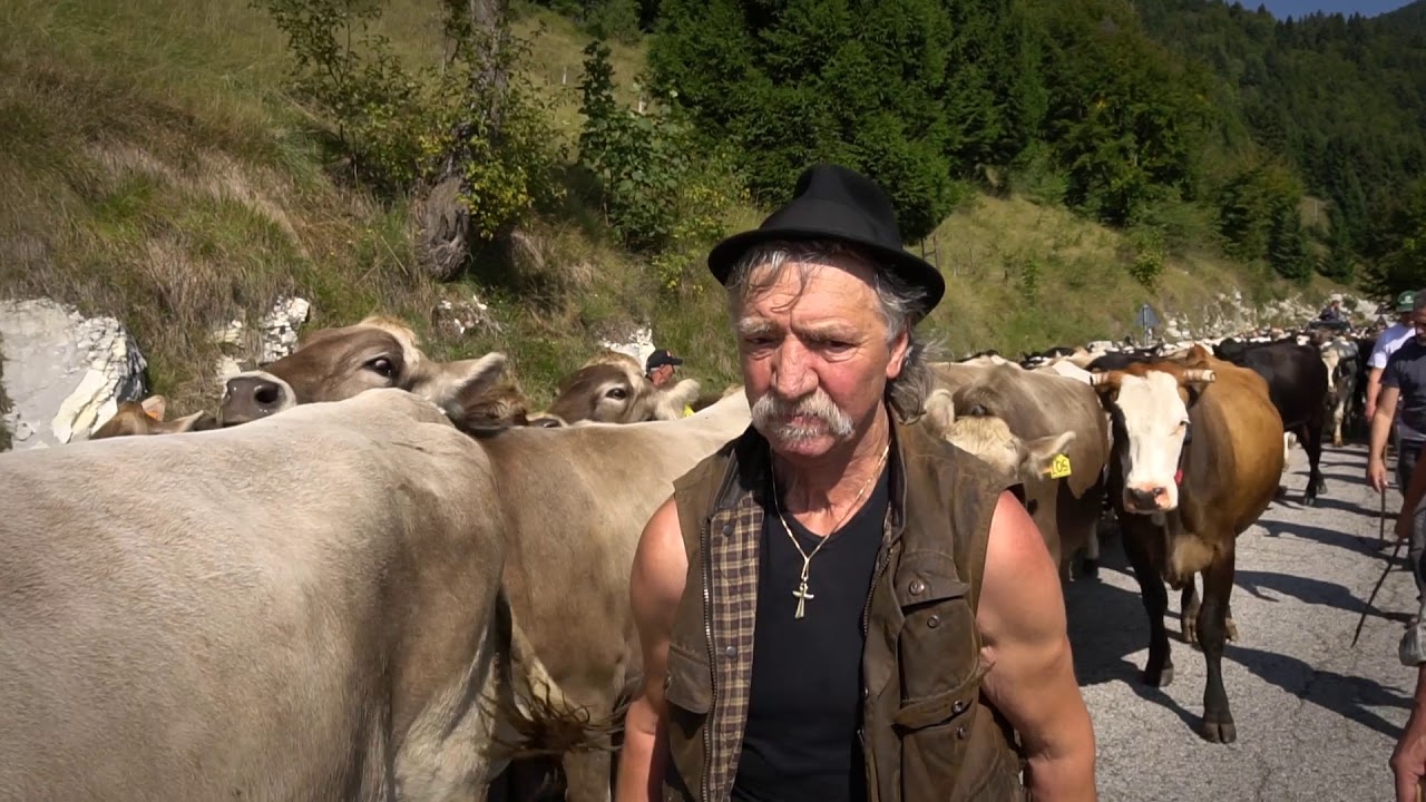 Latterie Vicentine e la Transumanza di Bressanvido 2018