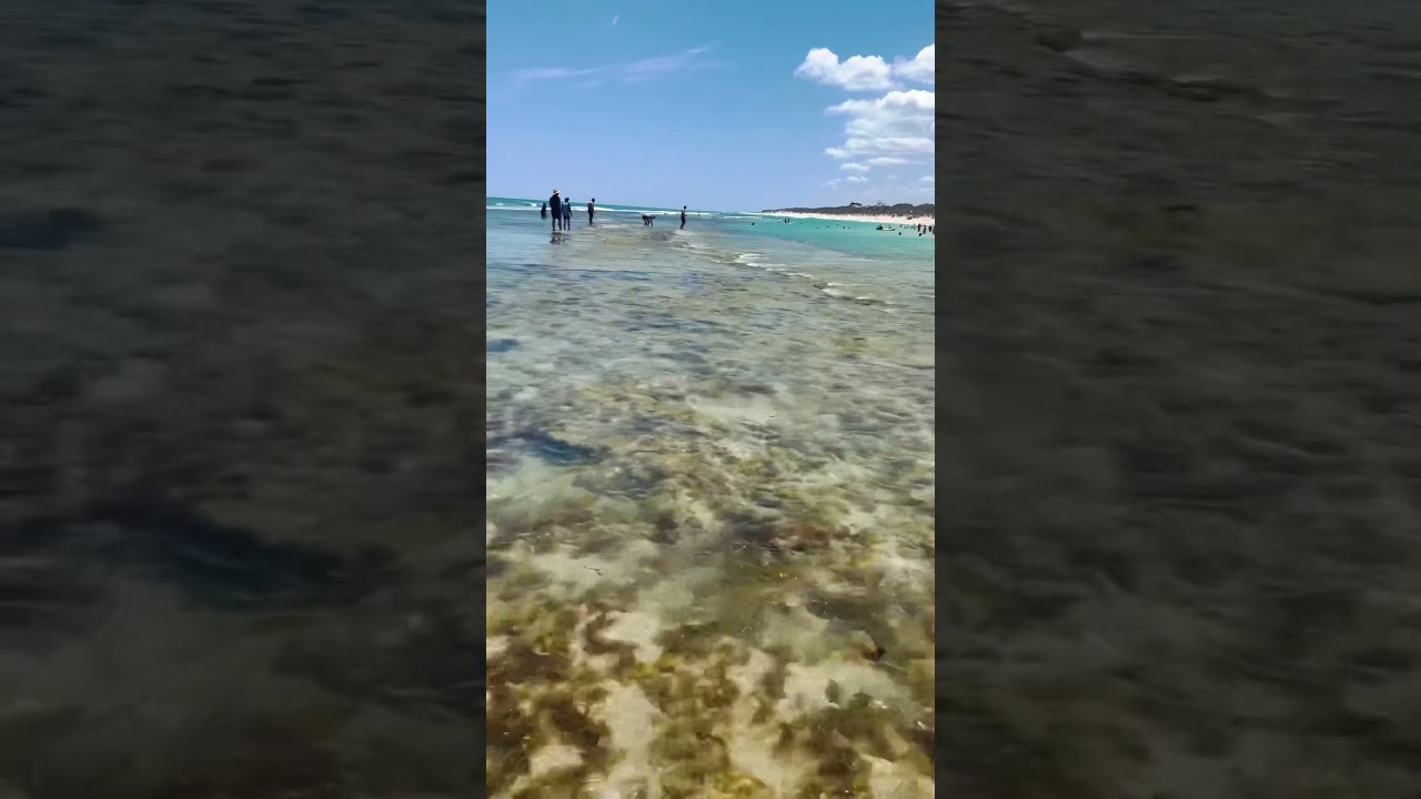 🚶&zwj;♂️☺️walking into the Indian Ocean, Yanchep Lagoon, Perth Western Australia 🇦🇺, #perth