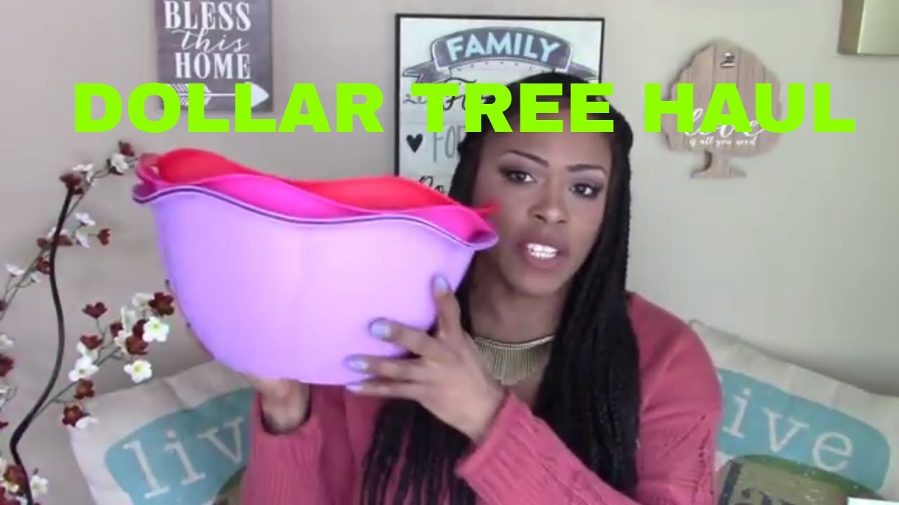 Dollar Tree Haul