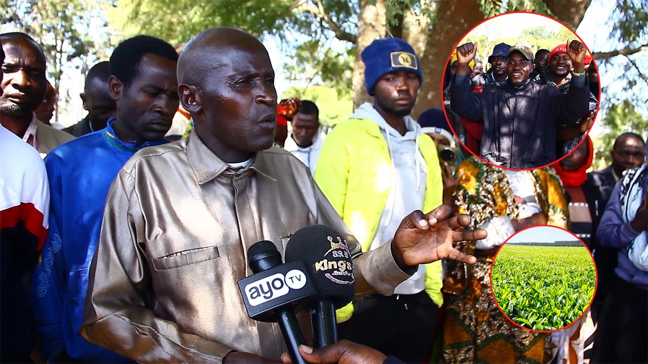 MGOMO WAFANYAKAZI KIWANDA CHA CHAI NJOMBE,WAANDAMANA WAKIDAI MISHAHARA YA MIEZI MINNE, HATUKOPESHEKI