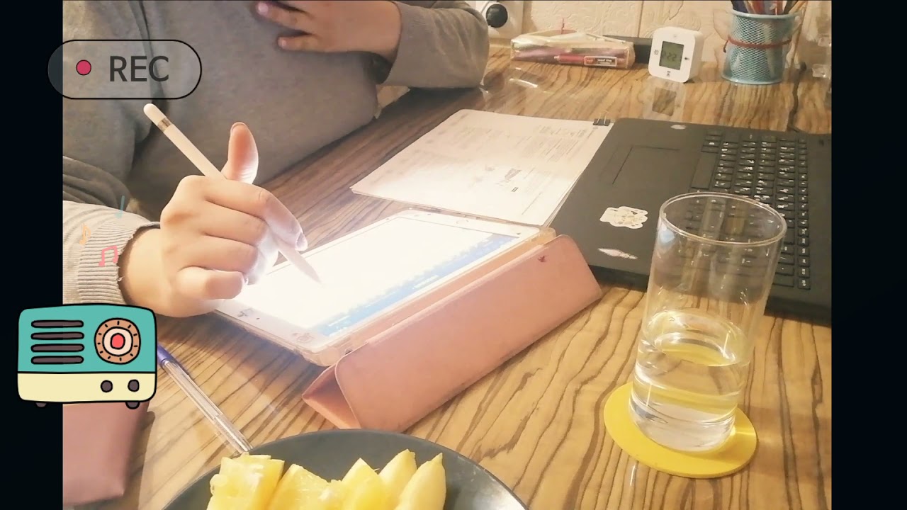 MEDICAL STUDENT 30 MIN QUICK STUDY WITH ME(real time, with music) Bakzhan_