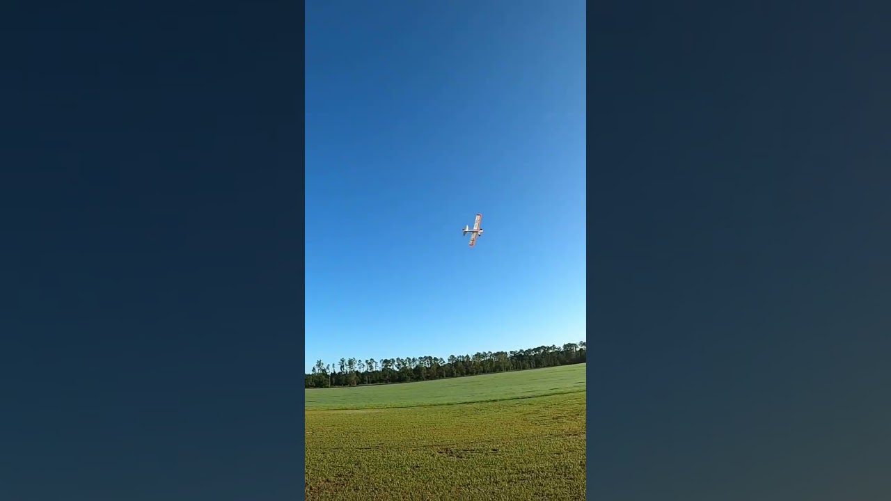 Carbon Cub SS landing. 