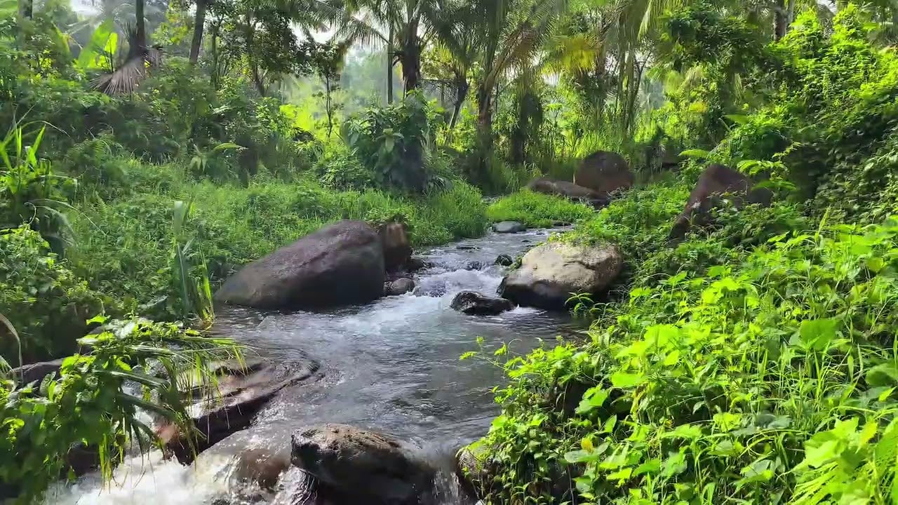 🌿 Nature Meditation | Serene Stream Ambience For Inner Peace