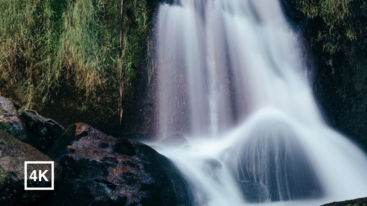 Relaxing Forest Stream during Autumn over 1hr for sleeping and meditation / White Noise / ASMR / 4K