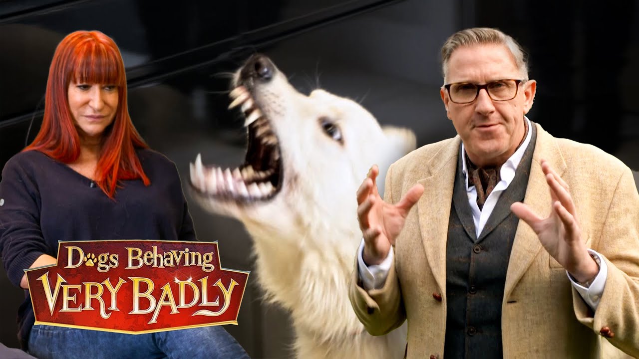 Моя немецкая овчарка не пускает моих внуков в дом!