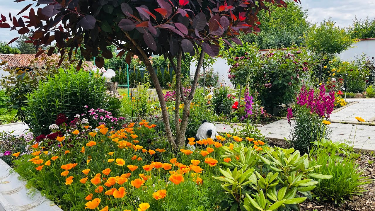 КЪПИЛАНДИЯ - МОЯТ РАЙ !!! - 18.05.2025