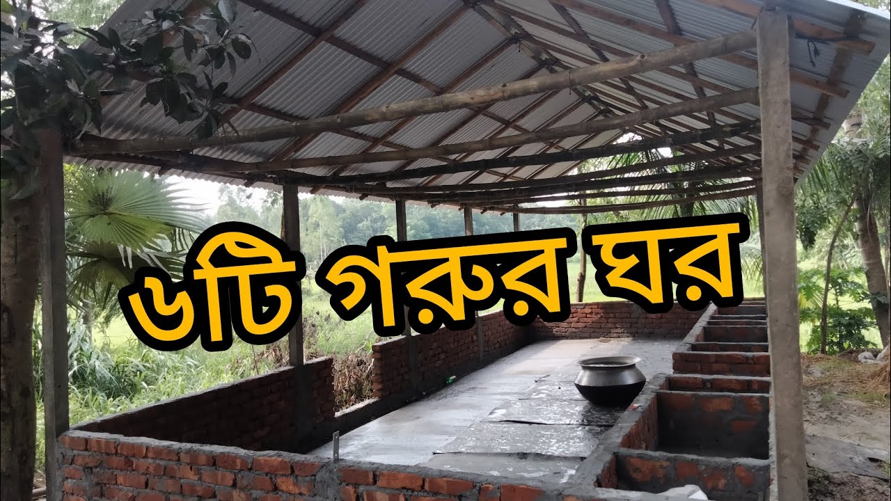 ৬ টি গরুর ঘর নির্মাণ। আদর্শ গরুর খামার।