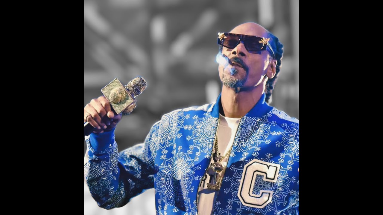 Snoop Dogg Type beat | G-Funk Type beat | West Coast Instrumental