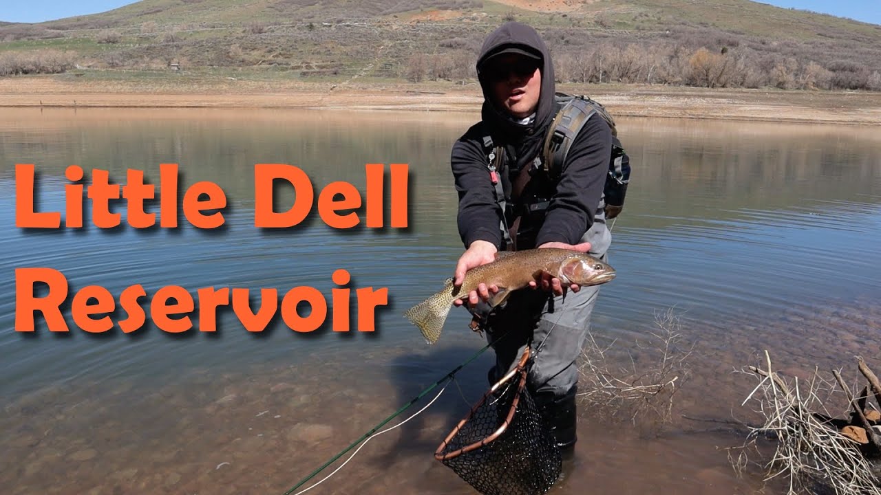 Little Dell Reservoir Fly Fishing - Bonneville Cutts on Chironomids
