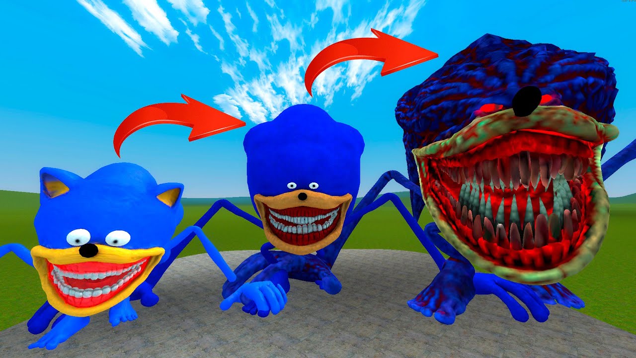NEW EVOLUTION OF ZOOCH SONIC TAPES In Garrys Mod!