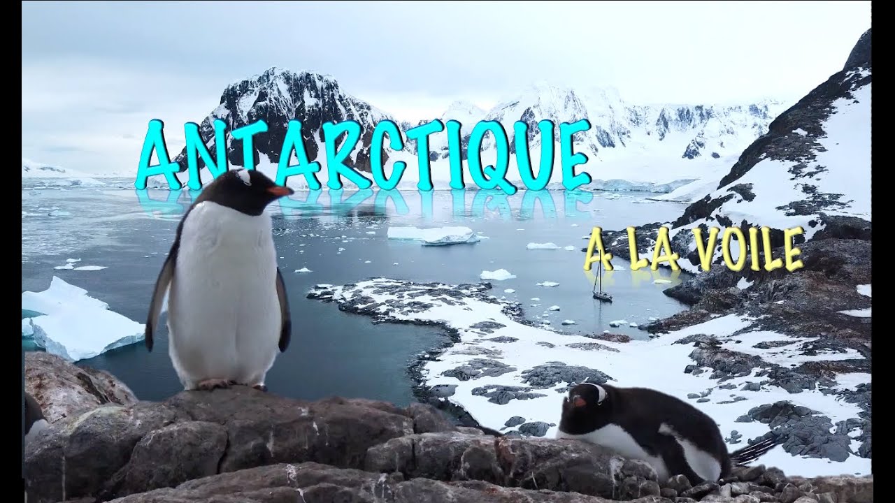 ANTARCTIQUE à la voile, une aventure exceptionnelle dans ce paradis blanc