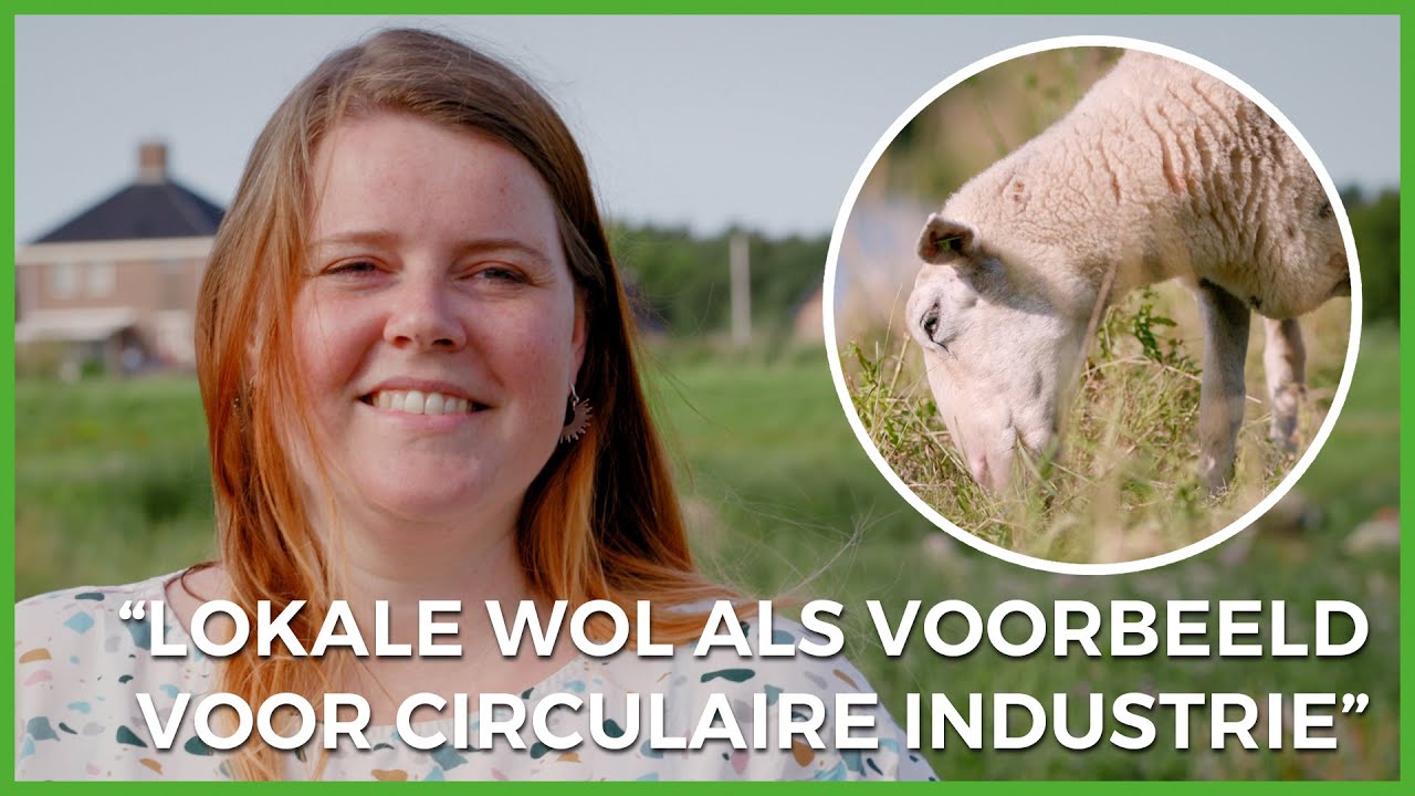 Nederlandse Wol Wordt Niet Gebruikt: Hollands Wol Collectief