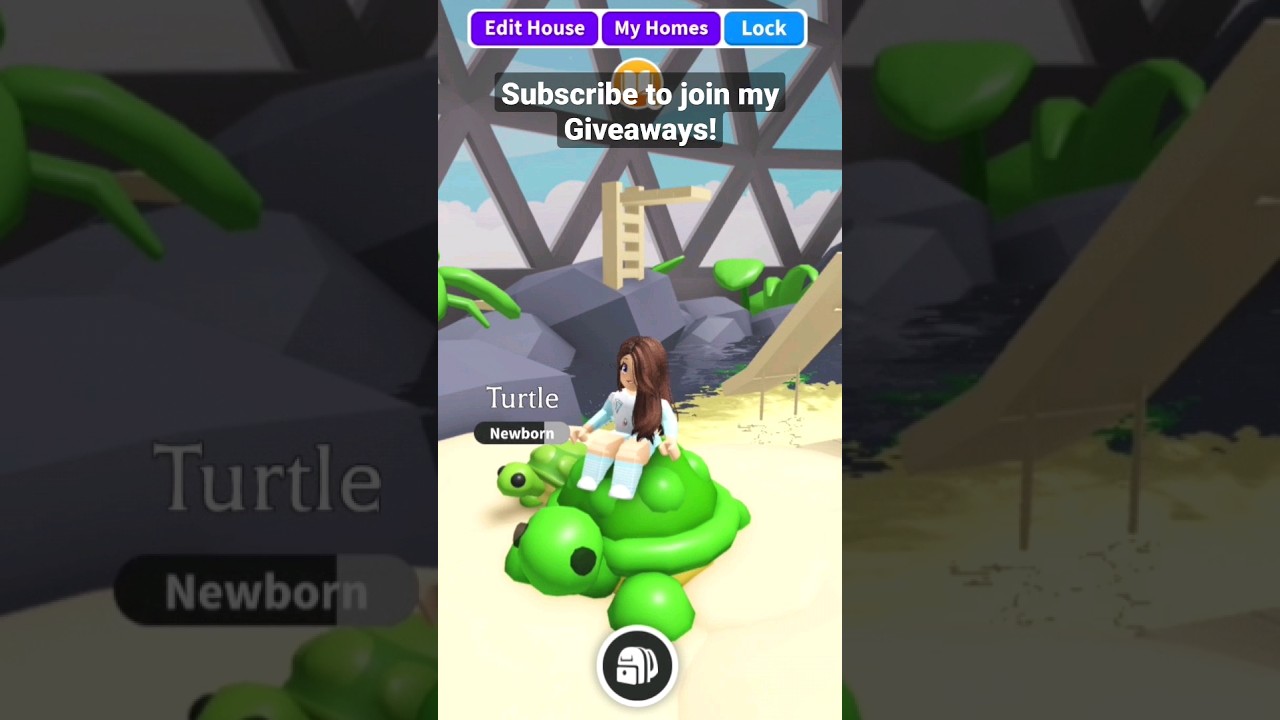 How to build a TURTLE in Adopt me! EASY! #aussieEgg #Speedbuild