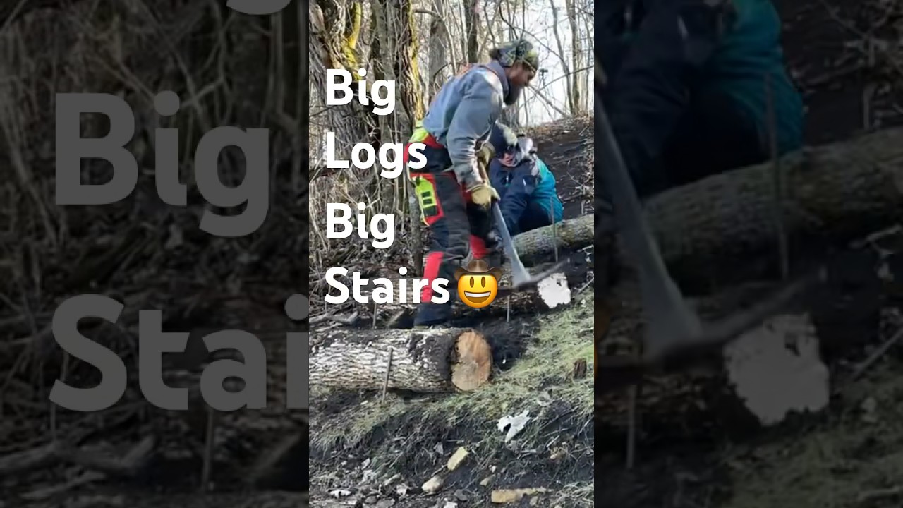 Big Logs make Big Stairs! #discgolfcourse #sterlinghill