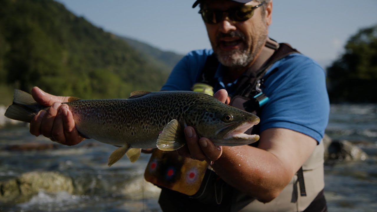 A Pesca con Fipsas - Fiume Sesia (FIPSAS)