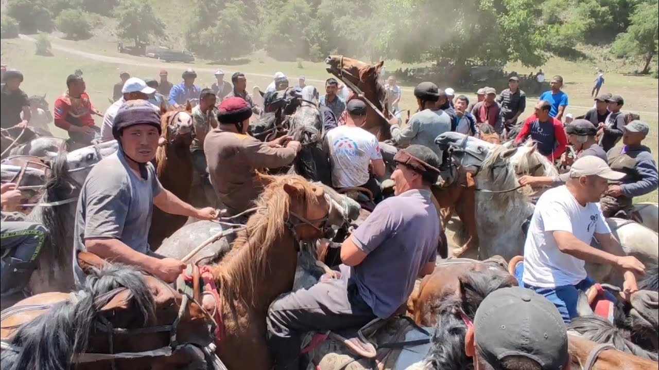 АЛАМАН УЛАК КАРА АЛМА 1- БОЛУК