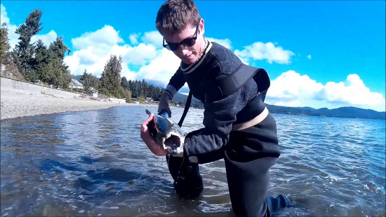 Vancouver Island Shore Fishing For Salmon 2015