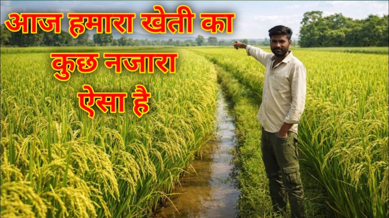 Today, the view of my farming was something like this...🌾🏜️🌾 #farming @MangalDas-5422 #dailyvlog 