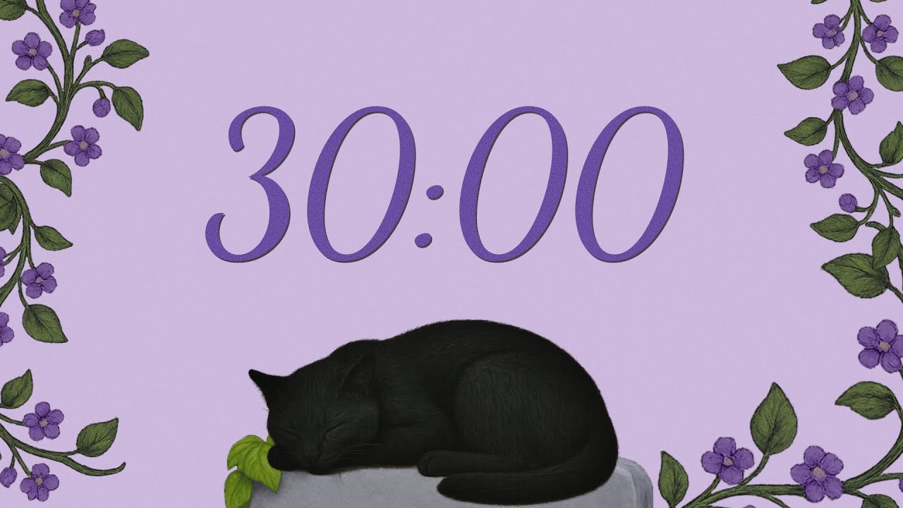 Countdown 30 Minutes Timer | Mystic Purple Black Cat