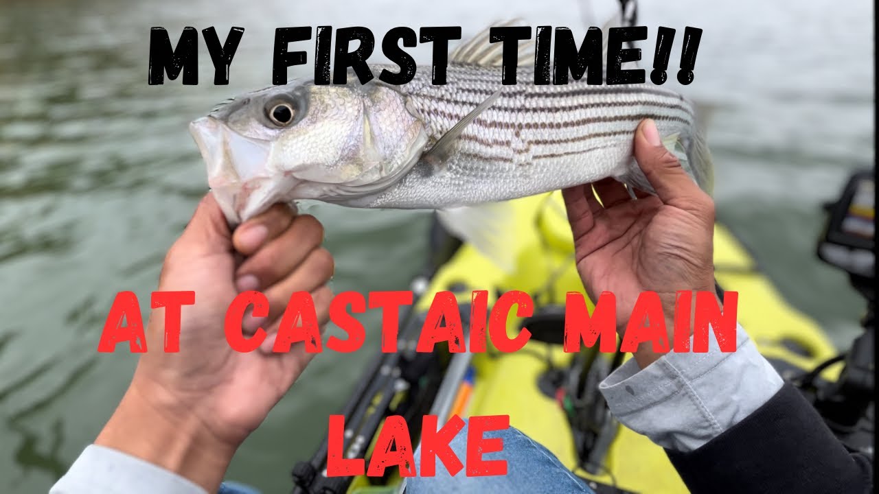 The Castaic trifecta: largie, smallie & striper too!