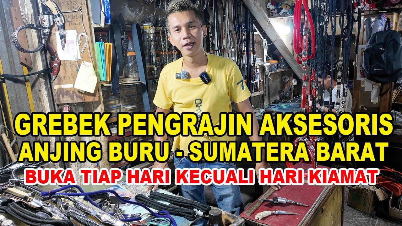Grebek Pengrajin Aksesoris Anjing Pemburu Sumatera Barat - Asli Minang
