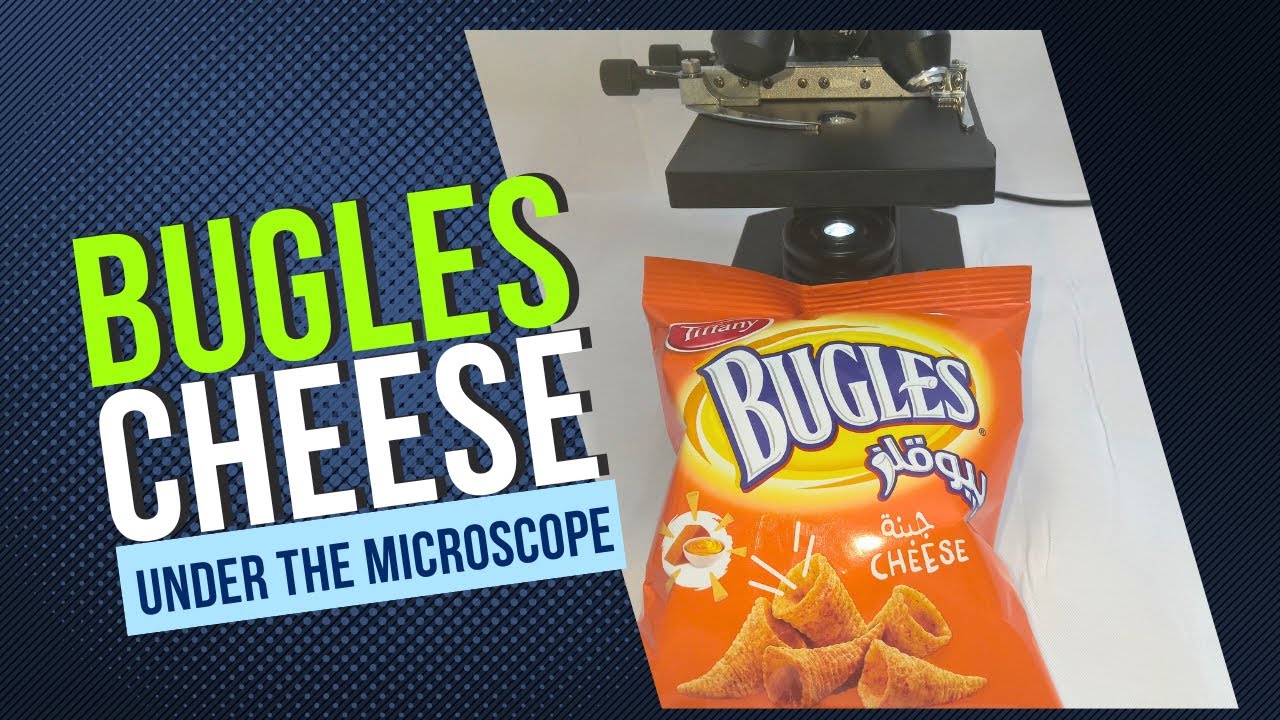 Bugles Cheese Seen Under the Microscope