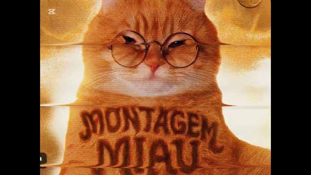 #ترند #مياو مياو #اكسبلور 