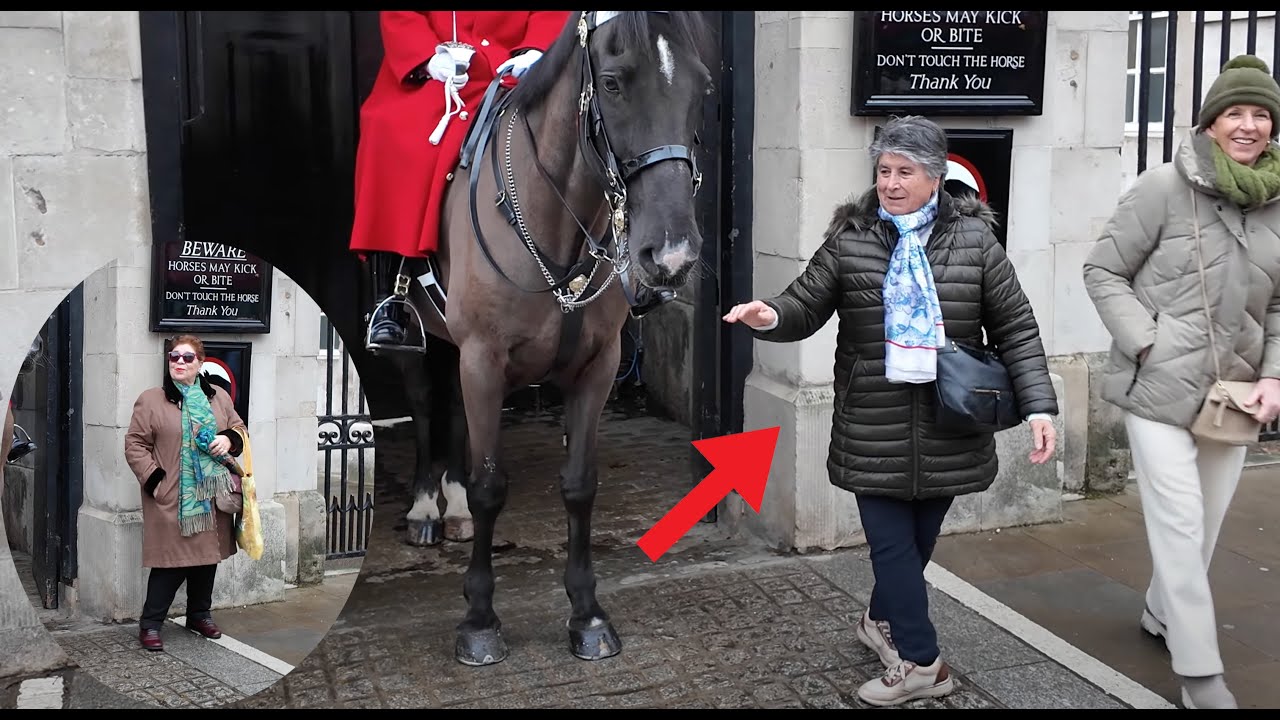 CONFUSED Lady IGNORED Guard's REPEATED WARNINGS to Stay Out Of The Box.