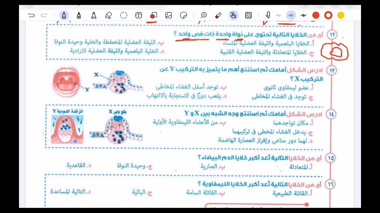 حل شامل المناعة في الانسان