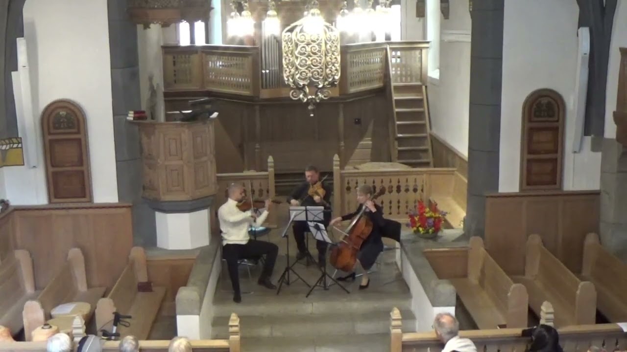 Wolfgang A.  Mozart  - String Trio no.1 D minor KV 404a