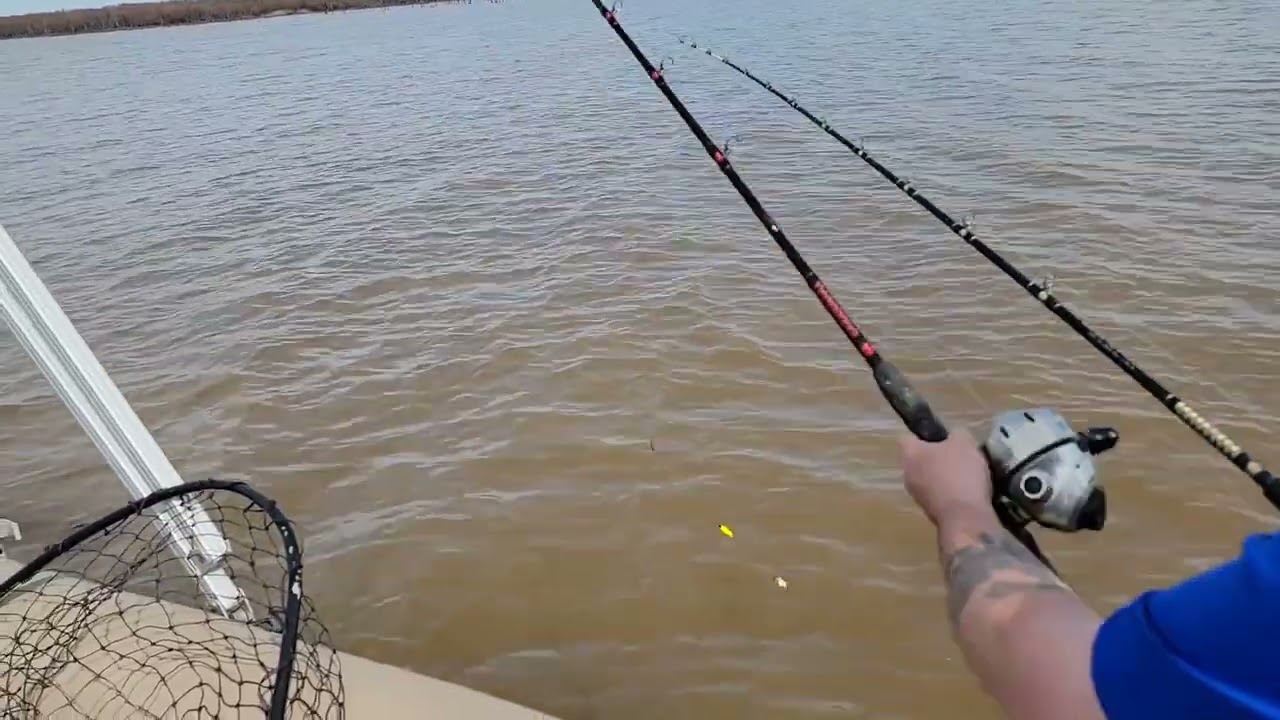 Zebco 888 paired up with  
