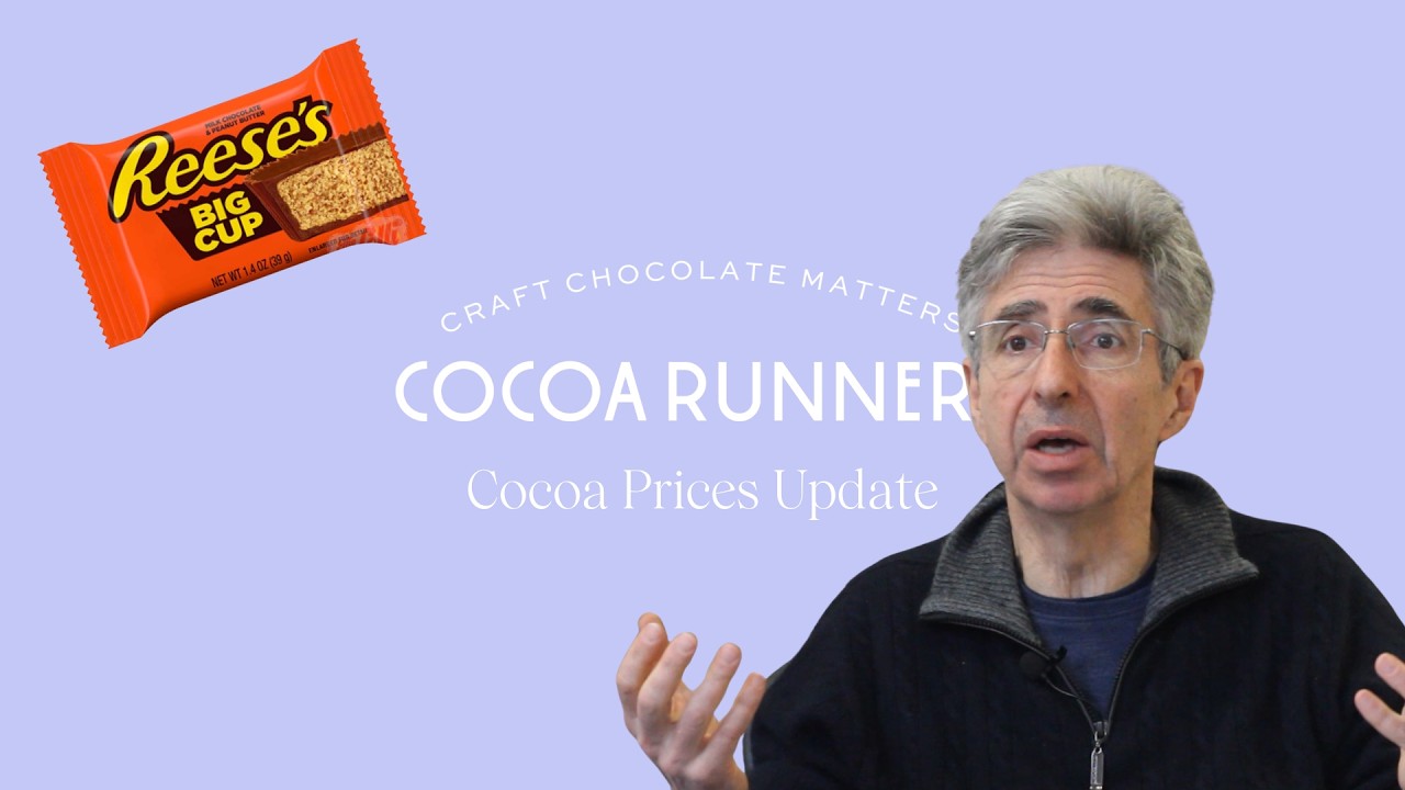 Cocoa Prices Update | Cocoa Runners | Craft Chocolate Matters