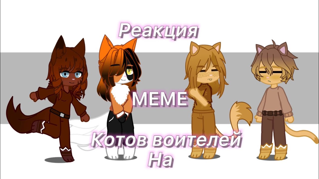 Реакция котов воителей на meme (коты воители из 