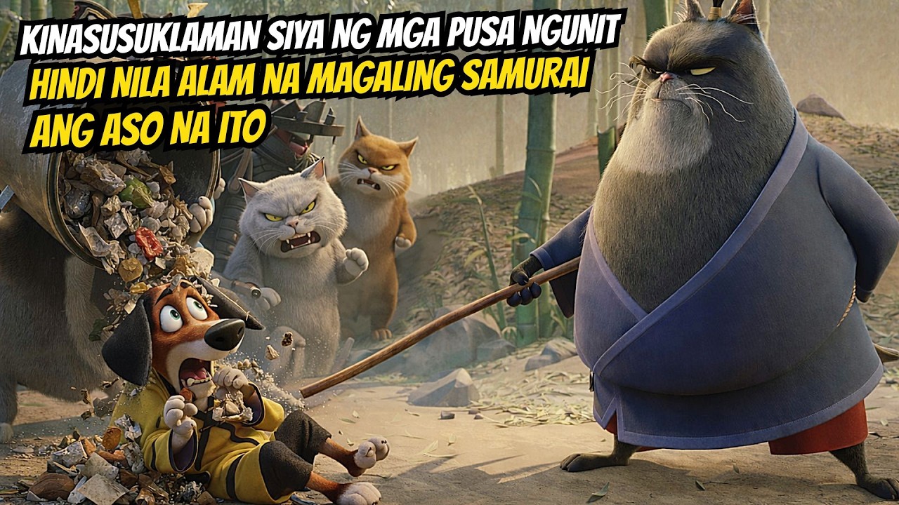 NAPADPAD ANG ASONG ITO SA BAYAN NG MGA PUSA KUNG SAAN SIYA AY MINALIIT NG LAHAT