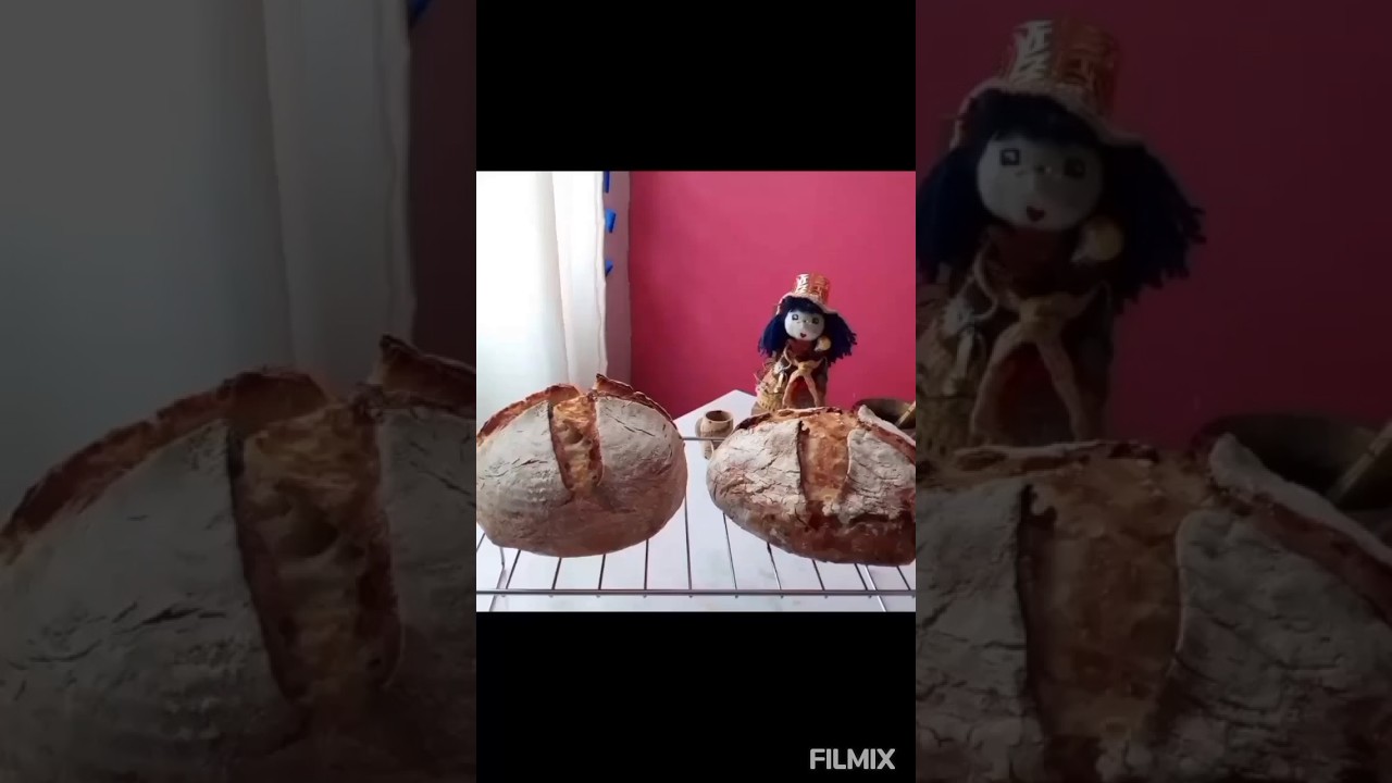 p&atilde;es caseiros artesanais com fermenta&ccedil;&atilde;o natural ou mista. #sourdough #massamadre