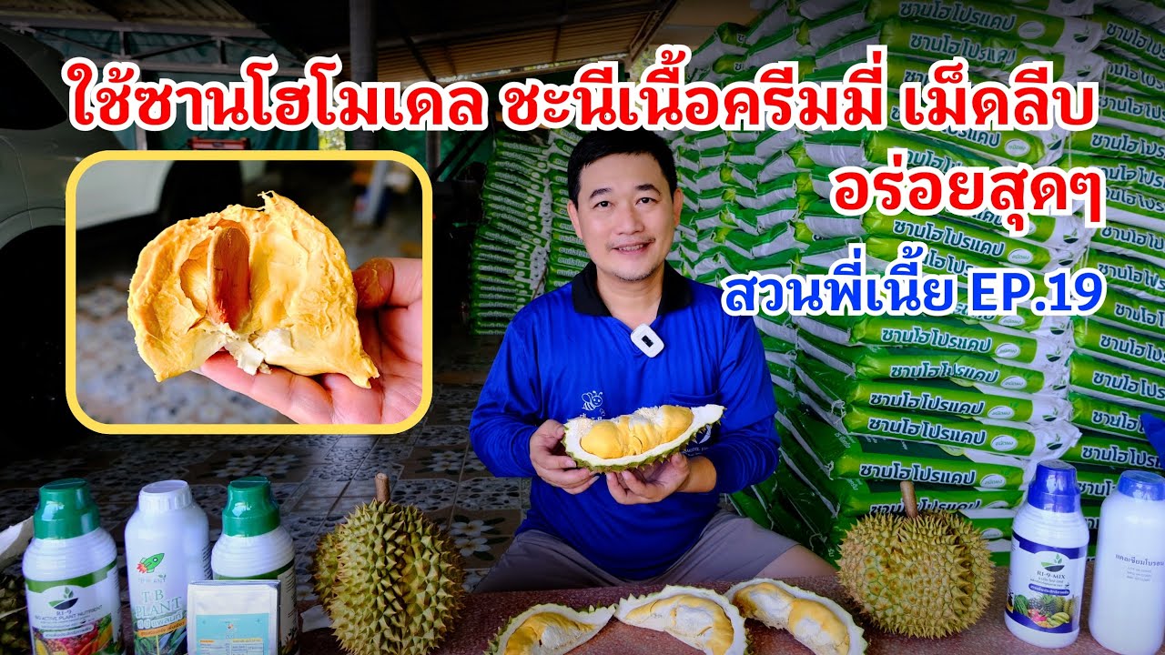 #กวินบินได้ EP.550ผลลัพธ์ของการทำชุดใบมาดีๆ ลูกติดเต็มต้น#เมเม่ EP.96