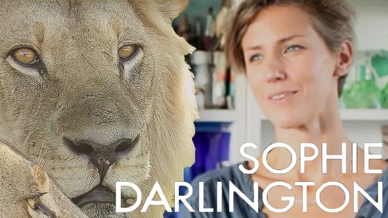 Life Through A Lens: Sophie Darlington | Meet My Planet | BBC Earth Explore