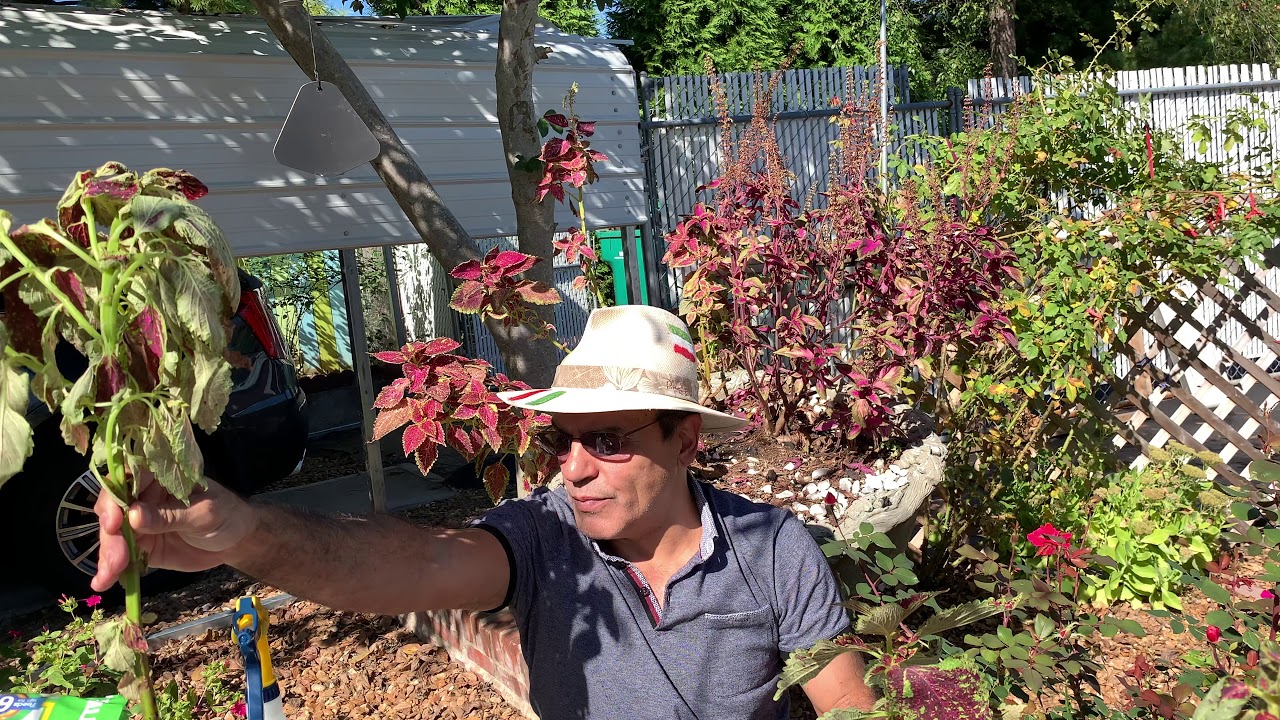 آموزش باغبانى با صابر كاشت و نگهدارى حًسن يوسف