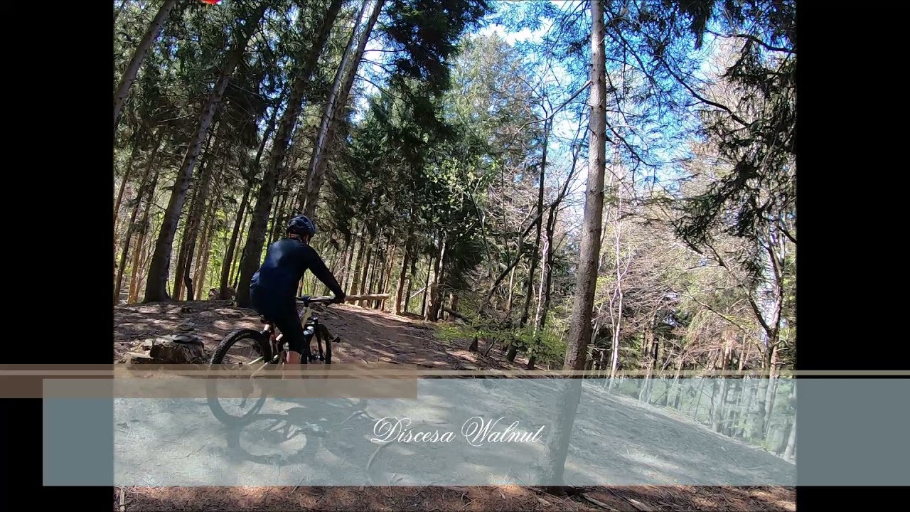 Campo dei fiori discese    la Brasiliana & Walnut