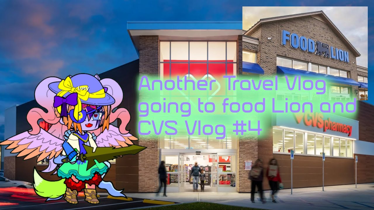 Another travel vlog going to food Lion and CVS| Vlog #4 