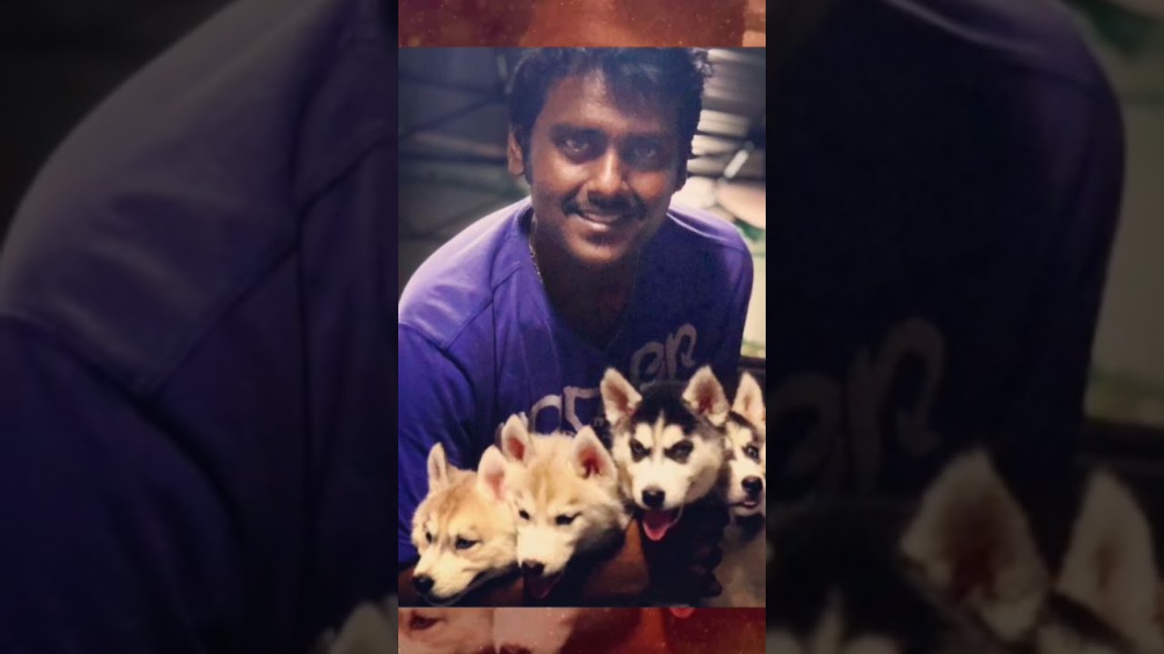 Tamilnadu's biggest dog lover- Captain Vijayakanth son Vijaya Prabhakaran #dogs #doglover #dogfacts