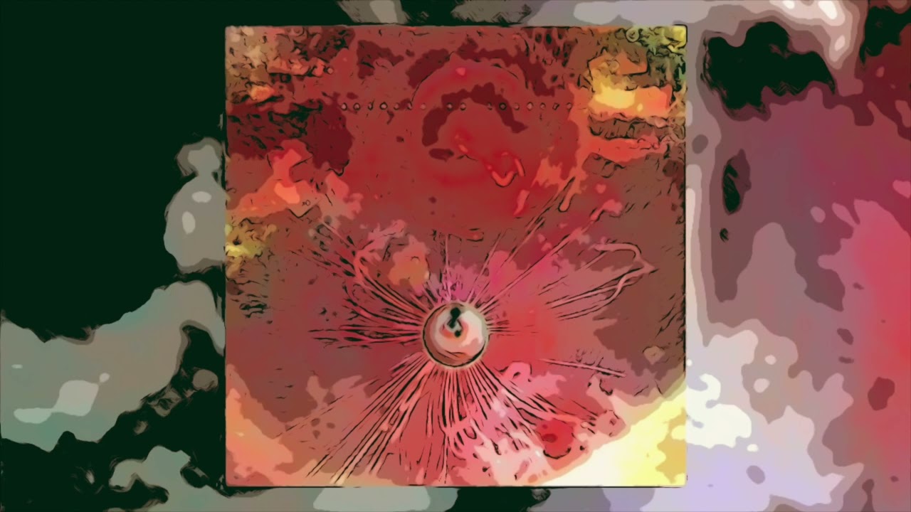 Animals as Leaders - 