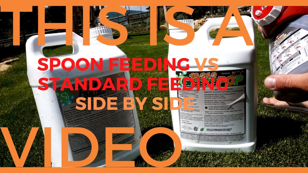 SPOON FEEDING Fertilizer vs STANDARD Fertilizer Feeding, Side by Side