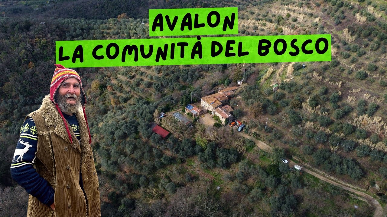 Alla scoperta del Popolo degli Elfi