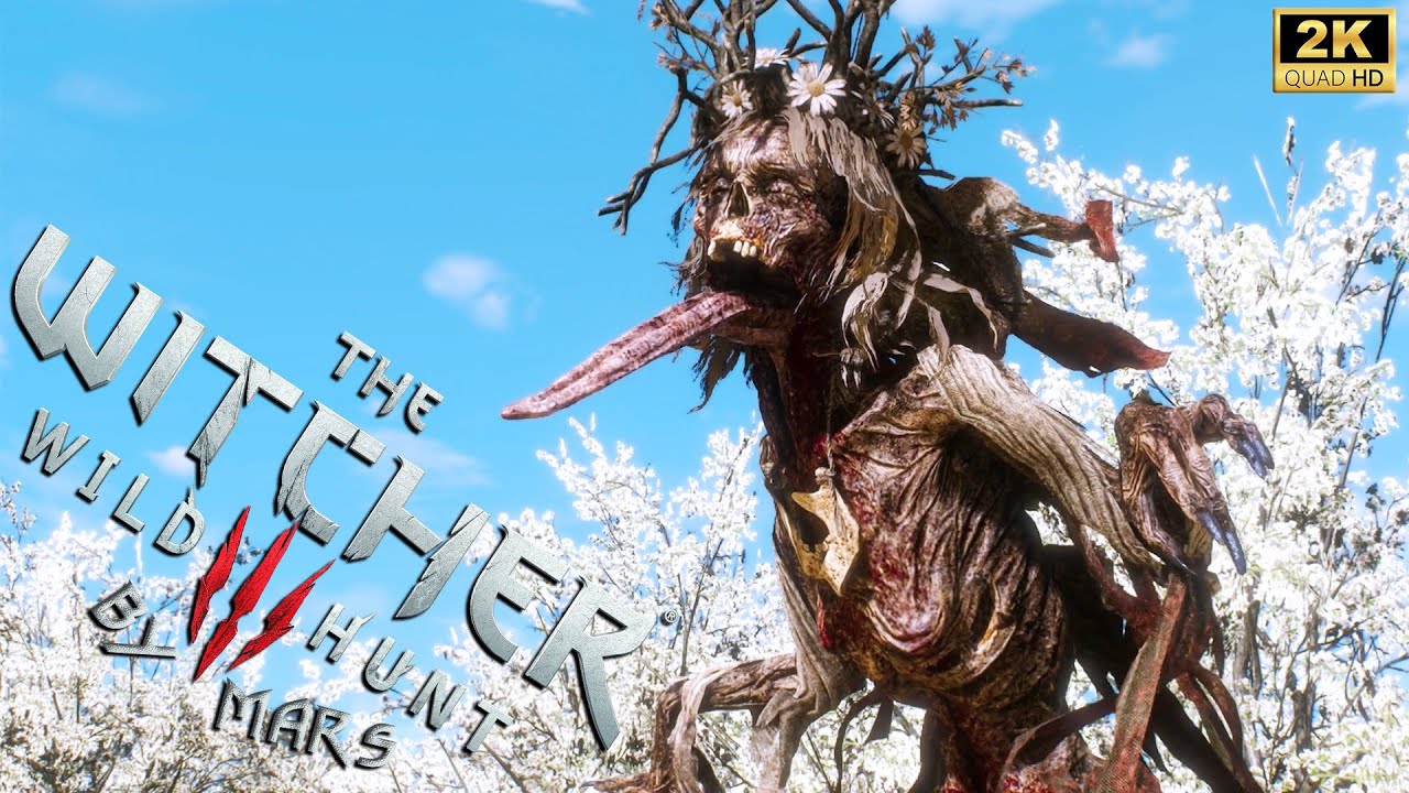 Белая Дама и Опиник [The Witcher 3: Wild Hunt] Часть 24