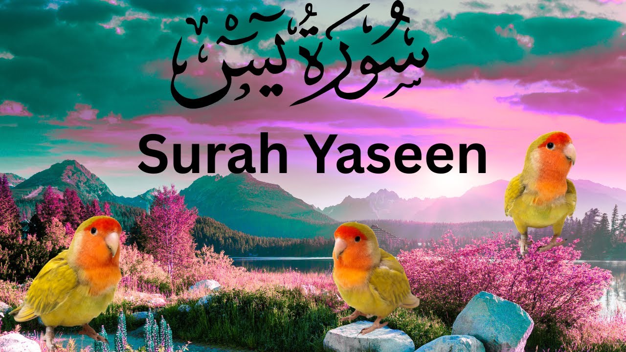 Surah Yaseen with Urdu Translation | Quran Tilawat for Peace & Barakah #surahyaseen