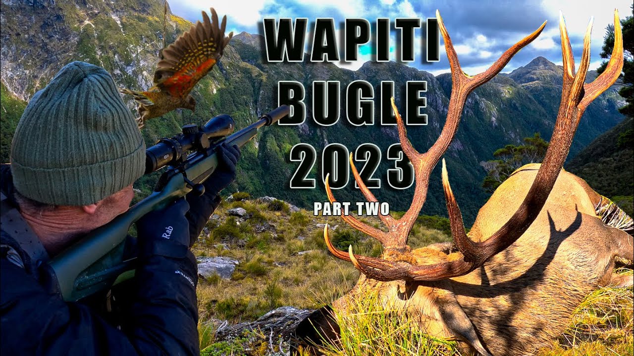Storm, Bluffs & Wapiti/Elk | Solo Hunt in Fiordland’s Wildest Basin
