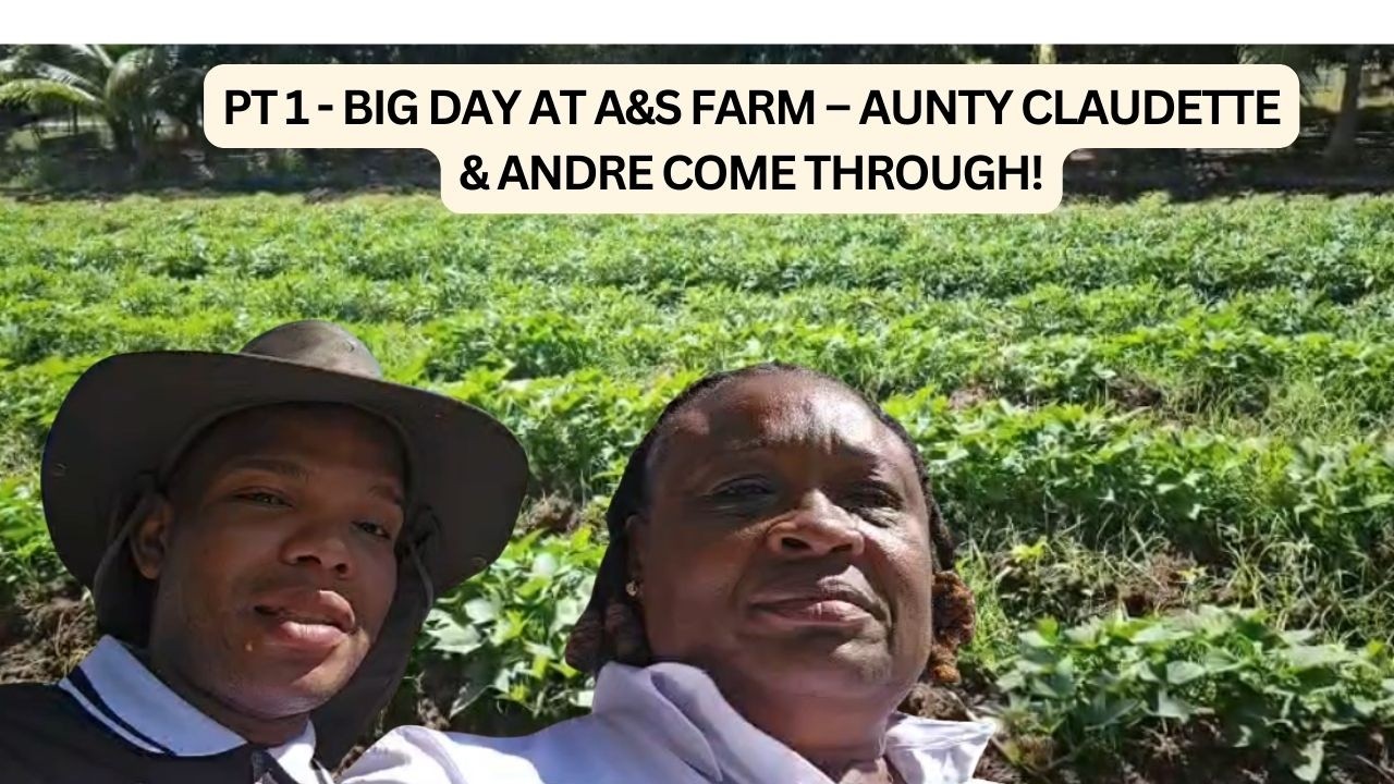 PART1 - Special Visitors at A&S Farm! - Aunty Claudette & Andre Touch Down Today